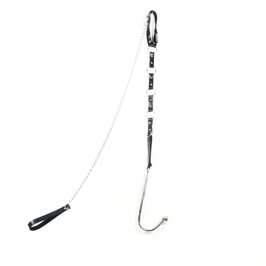 Anal Hooks Anal 5853 with Leash Hook EverydayUse Collar Kinky and 0802